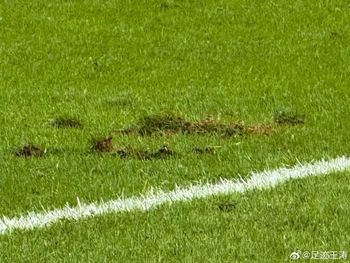 华体会入口-记者：西安的草皮是从美国进口的，奈何最近高温接阴雨泡软了